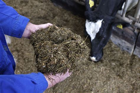 Silage